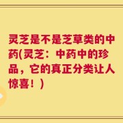 灵芝是不是芝草类的中药(灵芝：中药中的珍品，它的真正分类让人惊喜！)