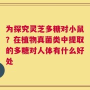 为探究灵芝多糖对小鼠？在植物真菌类中提取的多糖对人体有什么好处