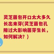 灵芝菌包开口太大多久长出来芽(灵芝菌包孔隙过大影响菌芽生长，如何解决？)