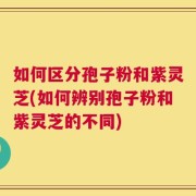 如何区分孢子粉和紫灵芝(如何辨别孢子粉和紫灵芝的不同)