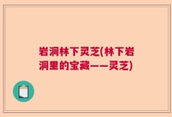 岩洞林下灵芝(林下岩洞里的宝藏——灵芝)