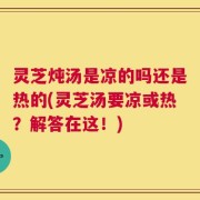 灵芝炖汤是凉的吗还是热的(灵芝汤要凉或热？解答在这！)