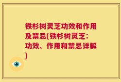 铁杉树灵芝功效和作用及禁忌(铁杉树灵芝：功效、作用和禁忌详解)