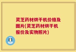 灵芝药材烘干机价格及图片(灵芝药材烘干机报价及实物照片)
