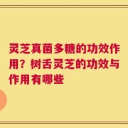 灵芝真菌多糖的功效作用？树舌灵芝的功效与作用有哪些