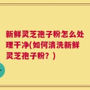 新鲜灵芝孢子粉怎么处理干净(如何清洗新鲜灵芝孢子粉？)