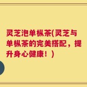 灵芝泡单枞茶(灵芝与单枞茶的完美搭配，提升身心健康！)