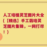 人工培植灵芝图片大全(【精选】手工栽培灵芝图片集锦，一网打尽！)