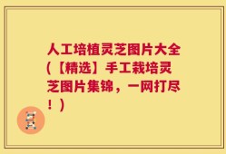 人工培植灵芝图片大全(【精选】手工栽培灵芝图片集锦，一网打尽！)