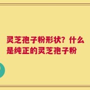 灵芝孢子粉形状？什么是纯正的灵芝孢子粉
