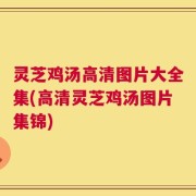 灵芝鸡汤高清图片大全集(高清灵芝鸡汤图片集锦)