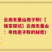 云南无量山孢子粉(【独家探访】云南无量山：寻找孢子粉的秘密)
