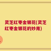 灵芝红枣金银花(灵芝红枣金银花的妙用)