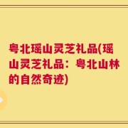 粤北瑶山灵芝礼品(瑶山灵芝礼品：粤北山林的自然奇迹)