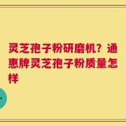 灵芝孢子粉研磨机？通惠牌灵芝孢子粉质量怎样