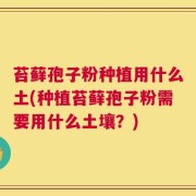 苔藓孢子粉种植用什么土(种植苔藓孢子粉需要用什么土壤？)