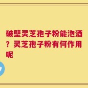 破壁灵芝孢子粉能泡酒？灵芝孢子粉有何作用呢