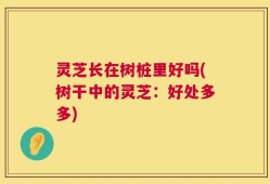 灵芝长在树桩里好吗(树干中的灵芝：好处多多)