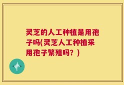 灵芝的人工种植是用孢子吗(灵芝人工种植采用孢子繁殖吗？)