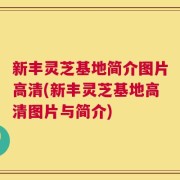 新丰灵芝基地简介图片高清(新丰灵芝基地高清图片与简介)
