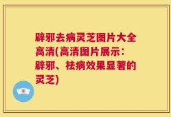 辟邪去病灵芝图片大全高清(高清图片展示：辟邪、祛病效果显著的灵芝)