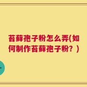 苔藓孢子粉怎么弄(如何制作苔藓孢子粉？)