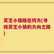 灵芝小镇路在何方(寻找灵芝小镇的方向之路)