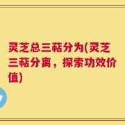 灵芝总三萜分为(灵芝三萜分离，探索功效价值)