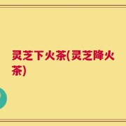 灵芝下火茶(灵芝降火茶)