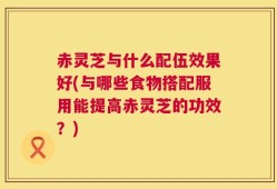 赤灵芝与什么配伍效果好(与哪些食物搭配服用能提高赤灵芝的功效？)