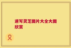 速写灵芝图片大全大图欣赏