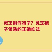 灵芝制作孢子？灵芝孢子煲汤的正确吃法