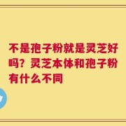 不是孢子粉就是灵芝好吗？灵芝本体和孢子粉有什么不同