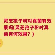 灵芝孢子粉对真菌有效果吗(灵芝孢子粉对真菌有何效果？)
