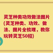 灵芝种类功效做法图片(灵芝种类、功效、做法、图片全梳理，教你玩转灵芝50招)