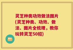 灵芝种类功效做法图片(灵芝种类、功效、做法、图片全梳理，教你玩转灵芝50招)