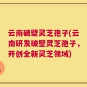 云南破壁灵芝孢子(云南研发破壁灵芝孢子，开创全新灵芝领域)