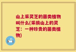 山上采灵芝的菌类植物叫什么(采摘山上的灵芝：一种珍贵的菌类植物)