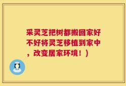 采灵芝把树都搬回家好不好将灵芝移植到家中，改变居家环境！)