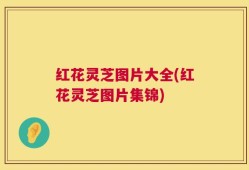 红花灵芝图片大全(红花灵芝图片集锦)