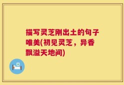描写灵芝刚出土的句子唯美(初见灵芝，异香飘溢天地间)