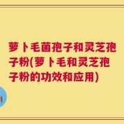 萝卜毛菌孢子和灵芝孢子粉(萝卜毛和灵芝孢子粉的功效和应用)
