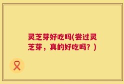 灵芝芽好吃吗(尝过灵芝芽，真的好吃吗？)
