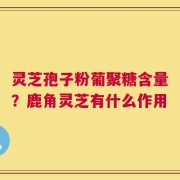灵芝孢子粉葡聚糖含量？鹿角灵芝有什么作用