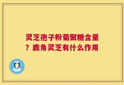 灵芝孢子粉葡聚糖含量？鹿角灵芝有什么作用