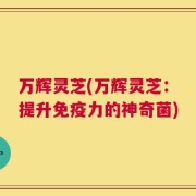 万辉灵芝(万辉灵芝：提升免疫力的神奇菌)