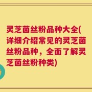 灵芝菌丝粉品种大全(详细介绍常见的灵芝菌丝粉品种，全面了解灵芝菌丝粉种类)