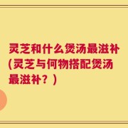 灵芝和什么煲汤最滋补(灵芝与何物搭配煲汤最滋补？)
