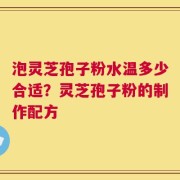 泡灵芝孢子粉水温多少合适？灵芝孢子粉的制作配方