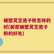 破壁灵芝孢子粉怎样的好(解密破壁灵芝孢子粉的好处)